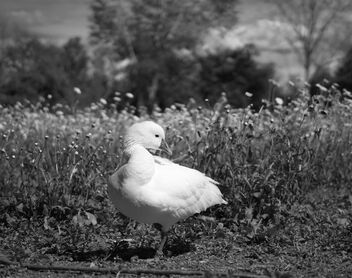 happy days - Kostenloses image #482527